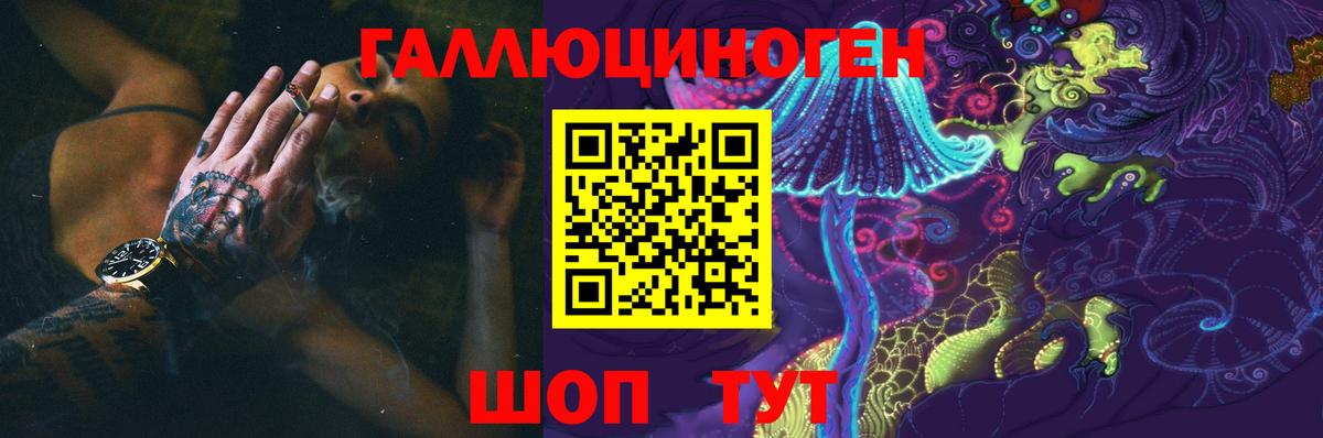 Галлюциногенные грибы Cubensis Ногинск